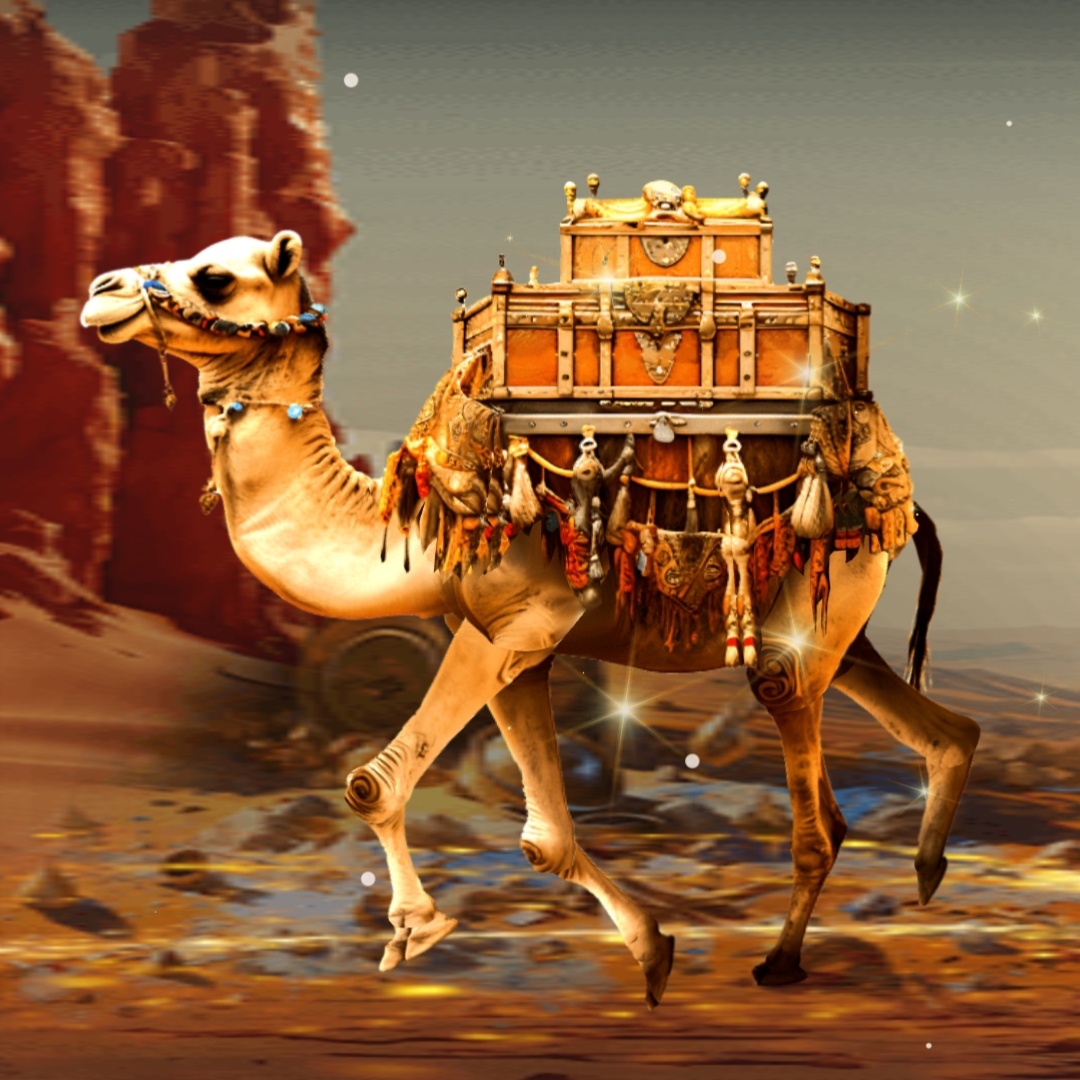 Camel Ride